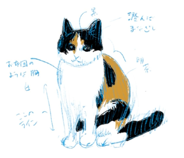 初心者向け Procreateでイラストを描くコツ 猫編 めたろんブログ